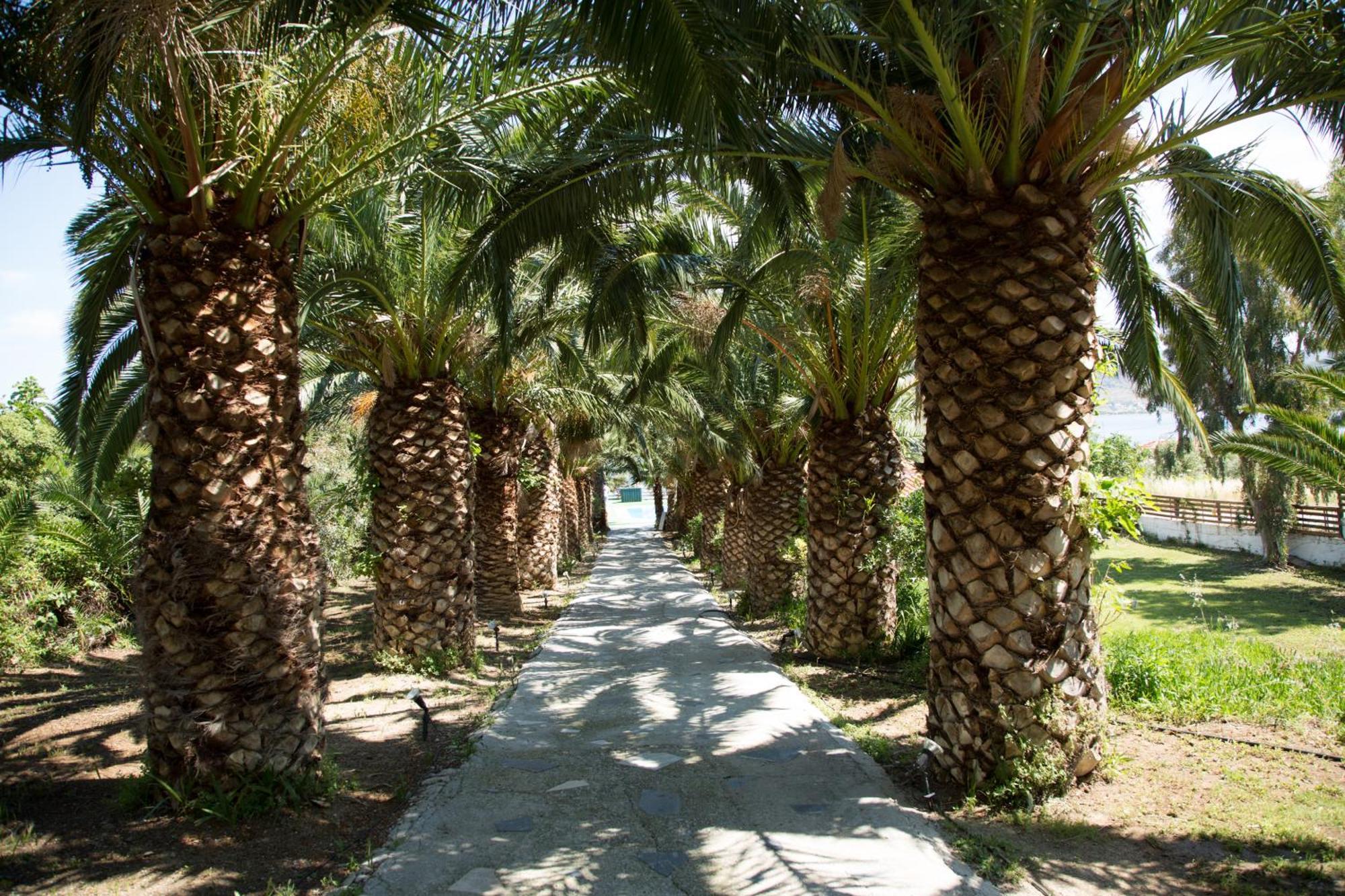 Clara Resort Petra  Exterior foto